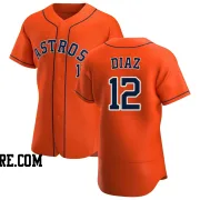 Men's Houston Astros Aledmys Diaz Authentic Orange Alternate Jersey