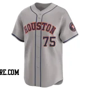 Men's Houston Astros Cameron Fisher Limited Gray Away Jersey