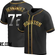 Men's Houston Astros Nick Hernandez Replica Black Golden Alternate Jersey