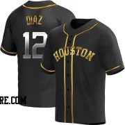 Youth Houston Astros Aledmys Diaz Replica Black Golden Alternate Jersey