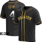 Youth Houston Astros Pedro Leon Replica Black Golden Alternate Jersey